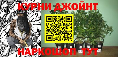 гашик Нальчик