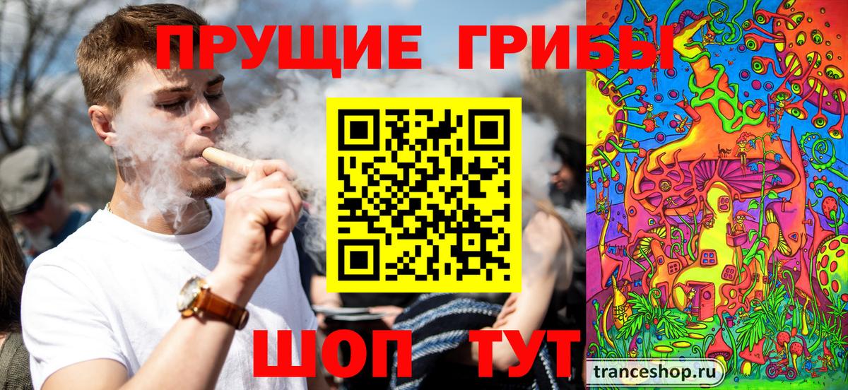 Славгород  Псилоцибиновые грибы MAGIC MUSHROOMS  Вход с VPN 